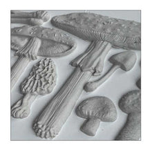 Load image into Gallery viewer, TOADSTOOL IOD MOULD
