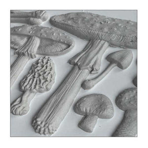 TOADSTOOL IOD MOULD