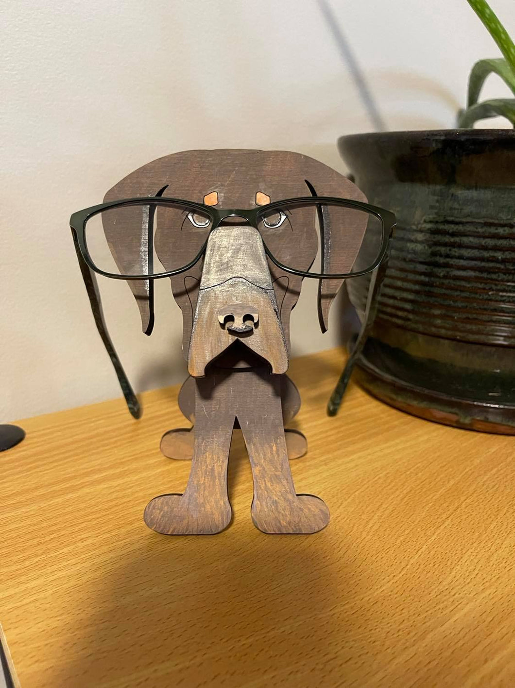 Animal Eye Glasses Holder Kits