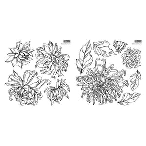 CHRYSANTHEMOMS IOD STAMP